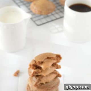 An infograph for peanut butter cookies