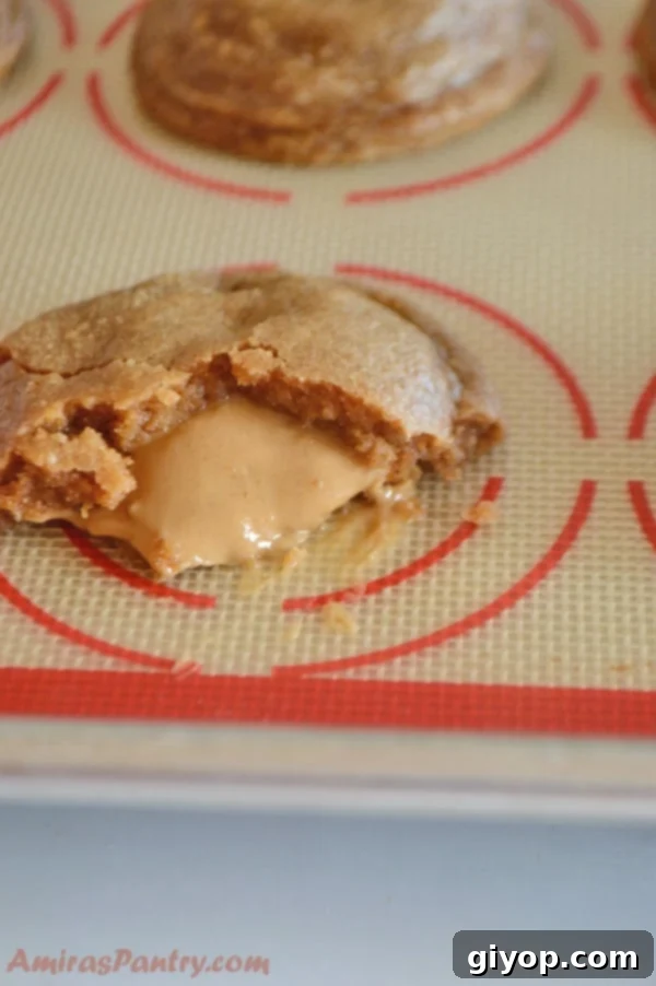 A close up of a peanut butter cookies