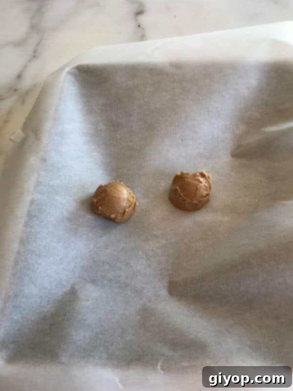 Step by step photos for making peanut butter cookies