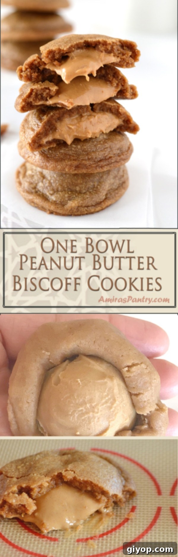 An infograph for peanut butter cookies