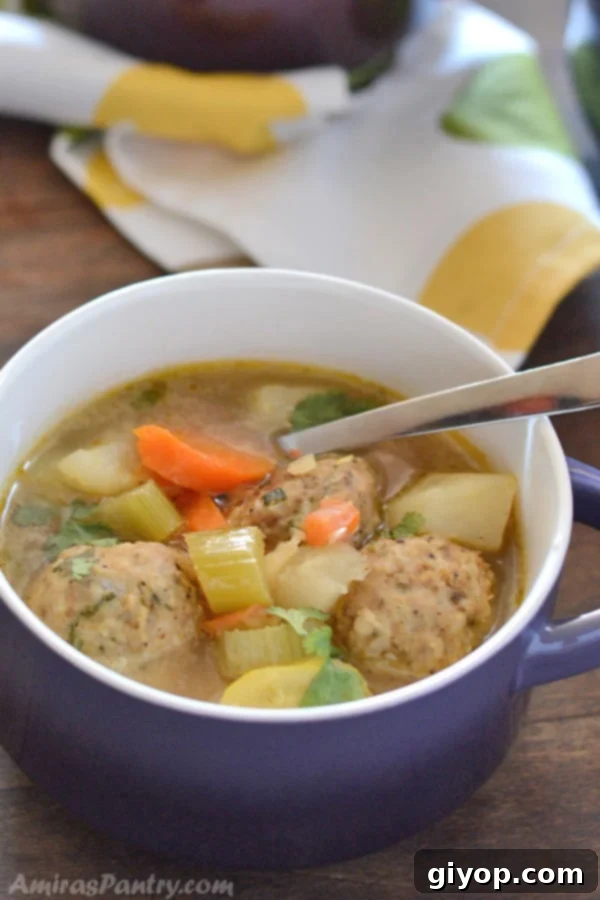 A bowl of food, with Turkey balls and Soup