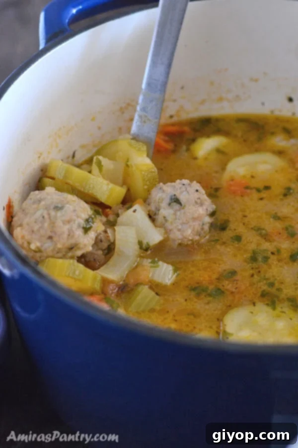Big blue pot of Albondigas soup with a ladle in it showing the vegetables and meatballs in the soup.