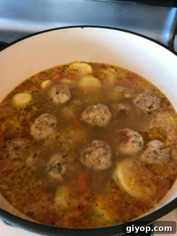 A close up of a bowl of Turkey Albondigas soup