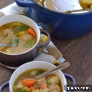 A bowl of Turkey Albondigas soup on a table