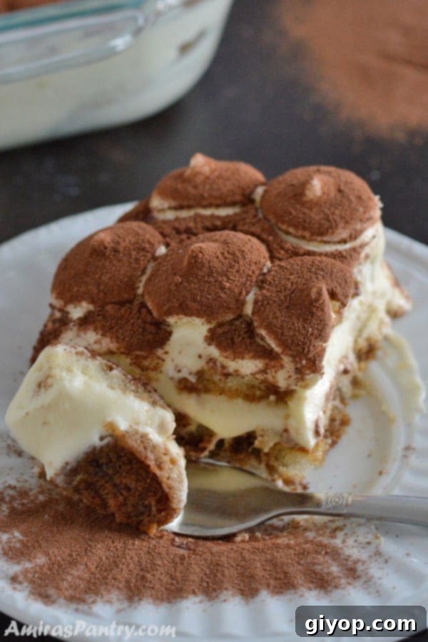 A close up of a plate with a piece of Tiramisu
