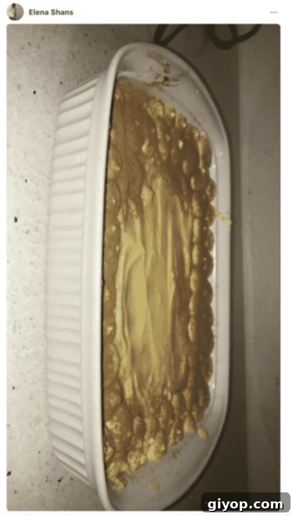 A photo of a Tiramisu in a pan, made by a fan