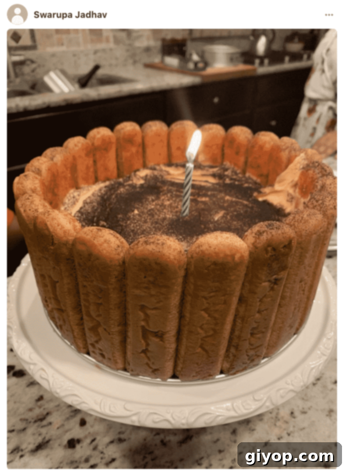 A photo of a Tiramisu in a plate, made by a fan