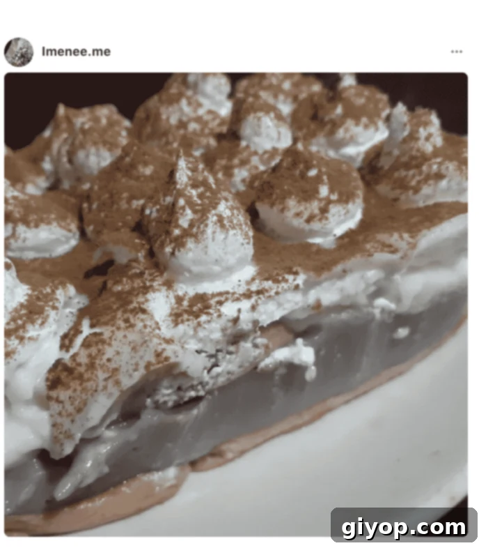 A photo of a Tiramisu in a plate, made by a fan