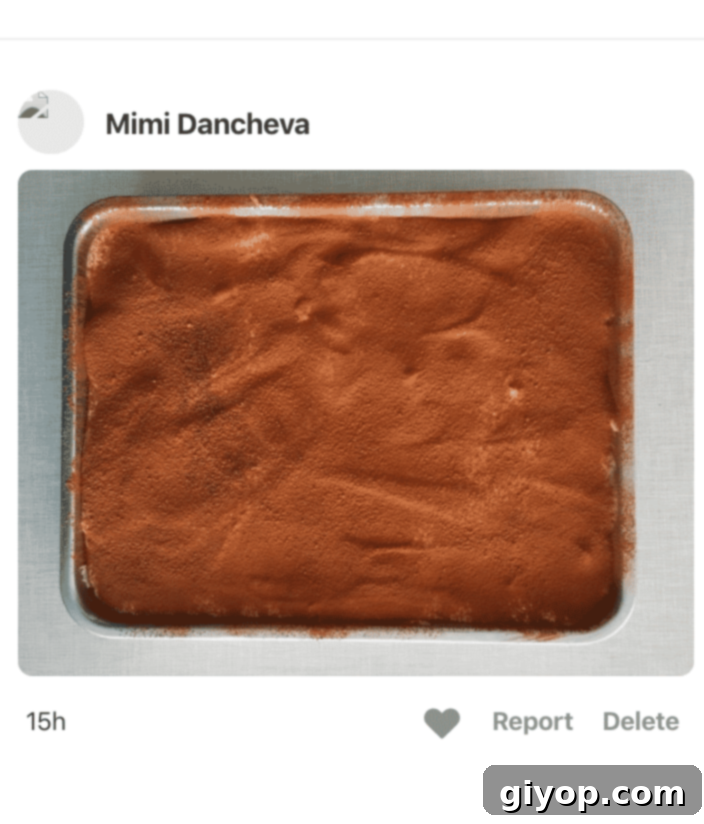 A photo of a Tiramisu in a pan, made by a fan
