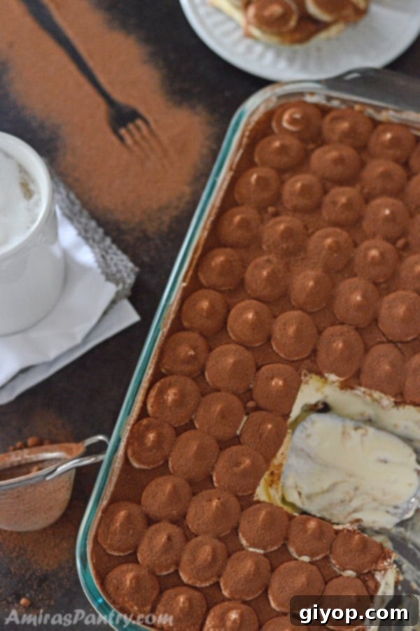 A big 13 by 9 inch serving pan shown with tiramisu in it along with a cup of coffee and a dusting sieve with cocoa powder in.