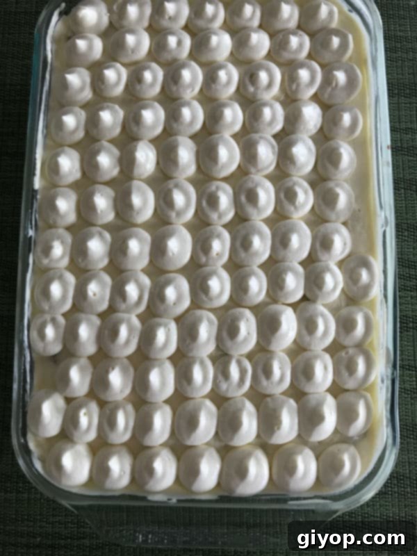 The tiramisu in a 9 by 13 inch pan with piped white domes of cream on top.
