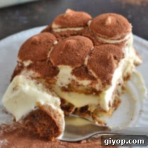 A close up of a plate with a piece of Tiramisu