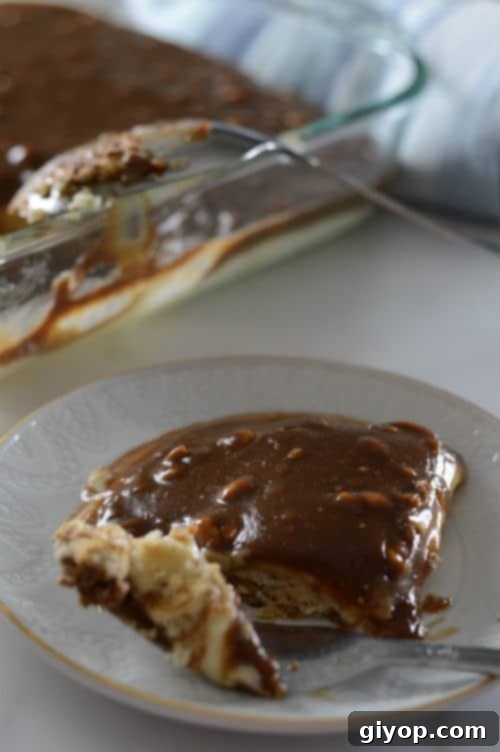 A photo of a failed Snickers-inspired dessert, appearing blobby and unappetizing on a plate.