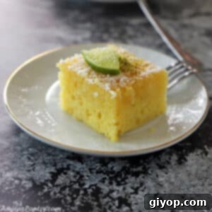 Syrup-Soaked Semolina Revani Cake 4 A piece of Revani cake on a white plate placed on a black tabletop.