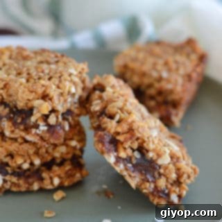 A close up of date pretzels on a plate, featuring the delicious breakfast squares