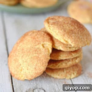 A snickerdoodle cookie sitting on top of a table