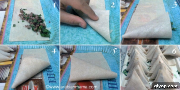 Easy Sambusa Recipe 2 Easy to cook recipes