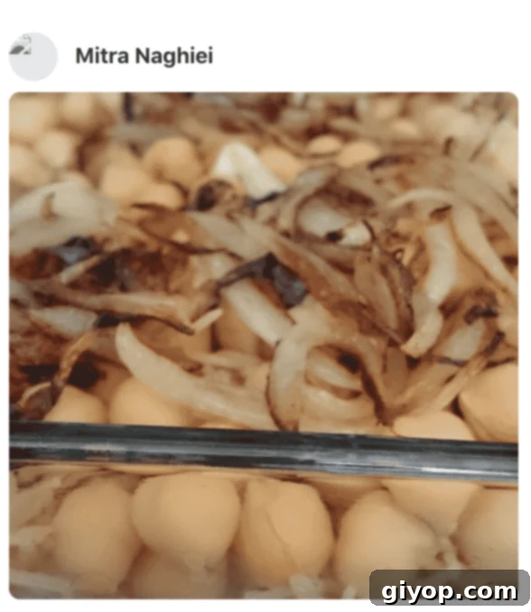 A close up of koshari made by a fan