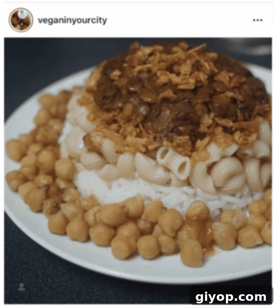 A plate of koshari made by a fan