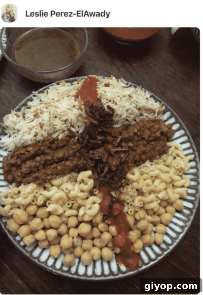 A plate of koshari made by a fan