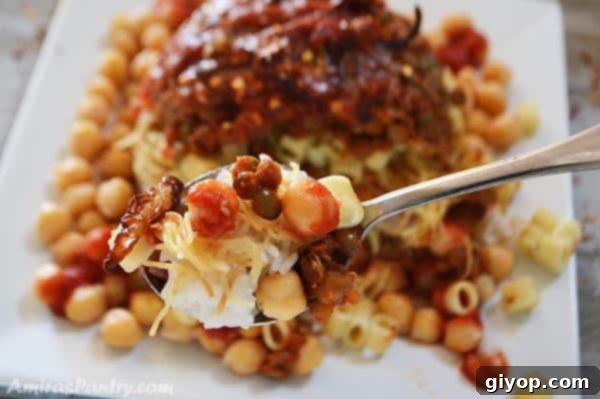 A spoon holding Egyptian Koshari with the whole plate in the background