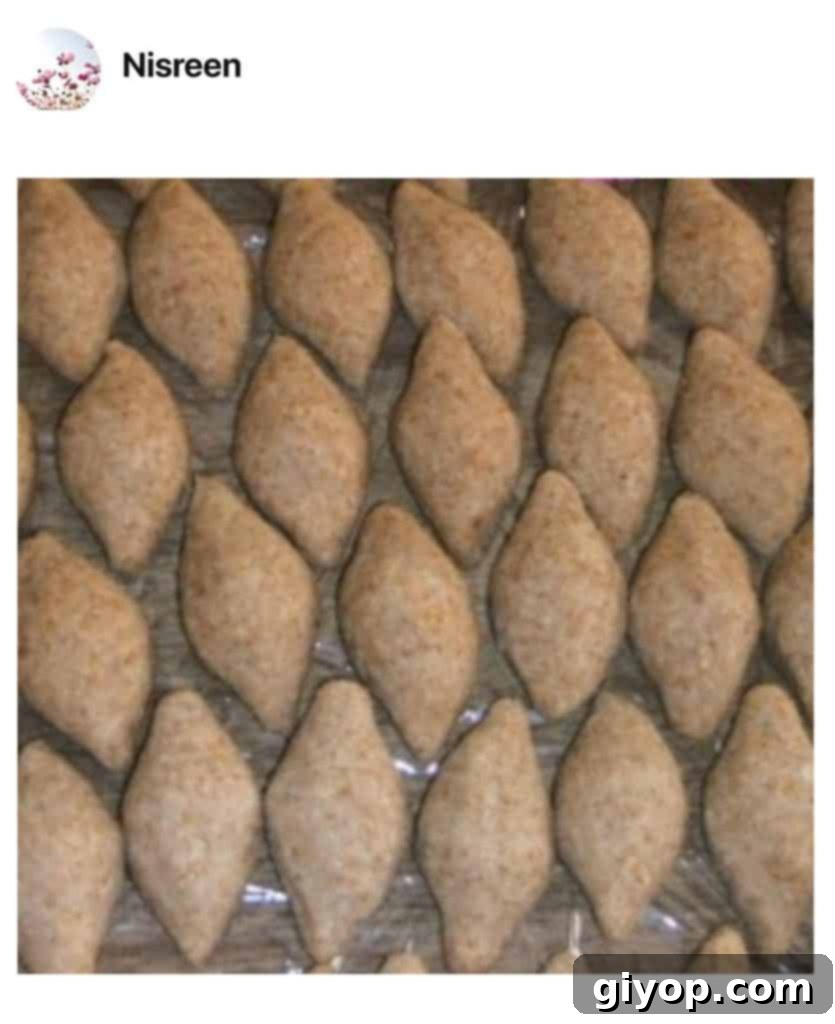 A close up of food, with Kibbeh in a pan