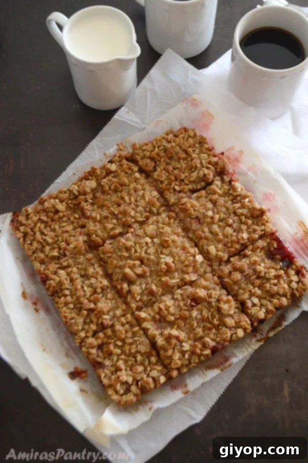 Strawberry Rhubarb Crumble Bliss 3 A close up of a plate of food with crumbled rhubarb bars