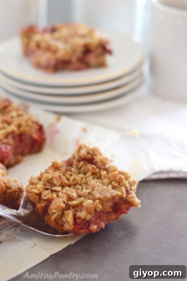 Strawberry Rhubarb Crumble Bliss 7 A plate with crumbled rhubarb bars