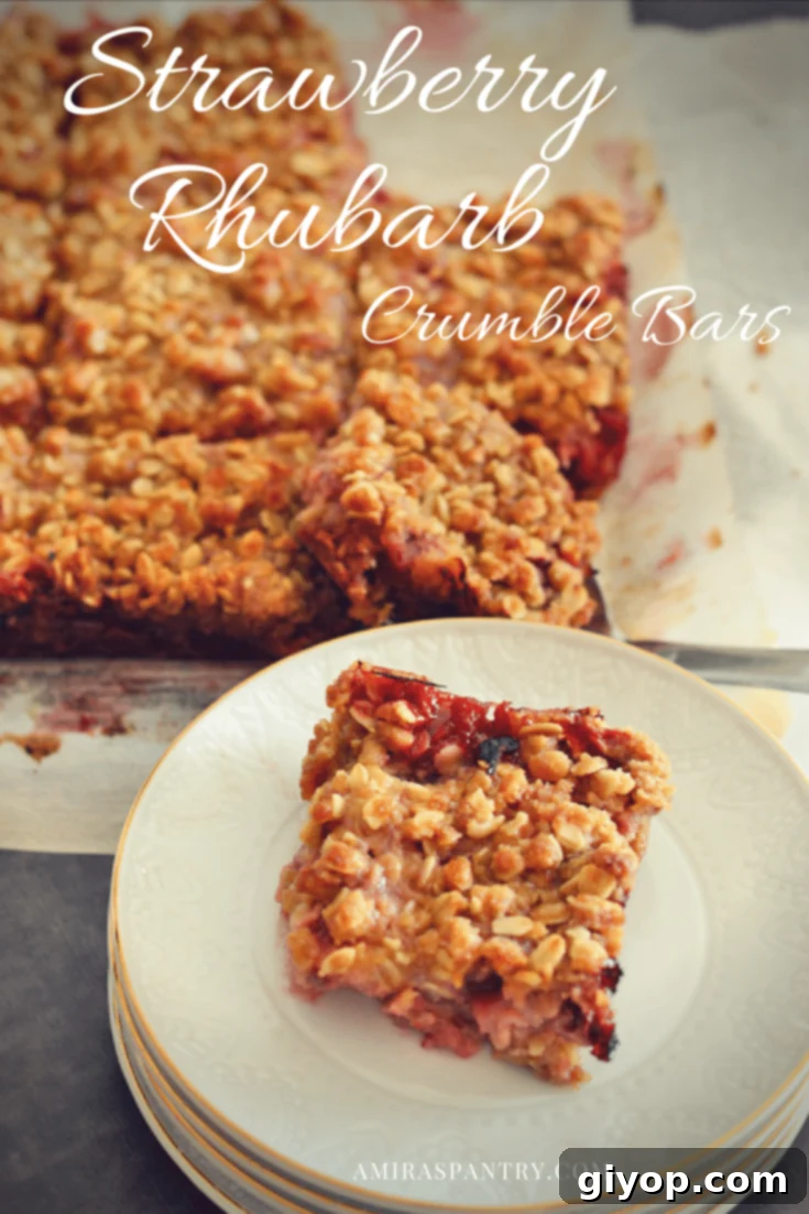 Strawberry Rhubarb Crumble Bliss 9 An infograph showing a plate with crumbled rhubarb bars