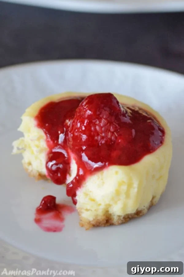 Raspberry Cheesecake Bites 2 A close-up of a perfectly baked mini raspberry cheesecake, topped with a dollop of fresh raspberry preserve and a whole raspberry, served on a delicate plate, hinting at its rich, creamy texture and vibrant flavor. The golden-brown graham cracker crust is visible at the base.