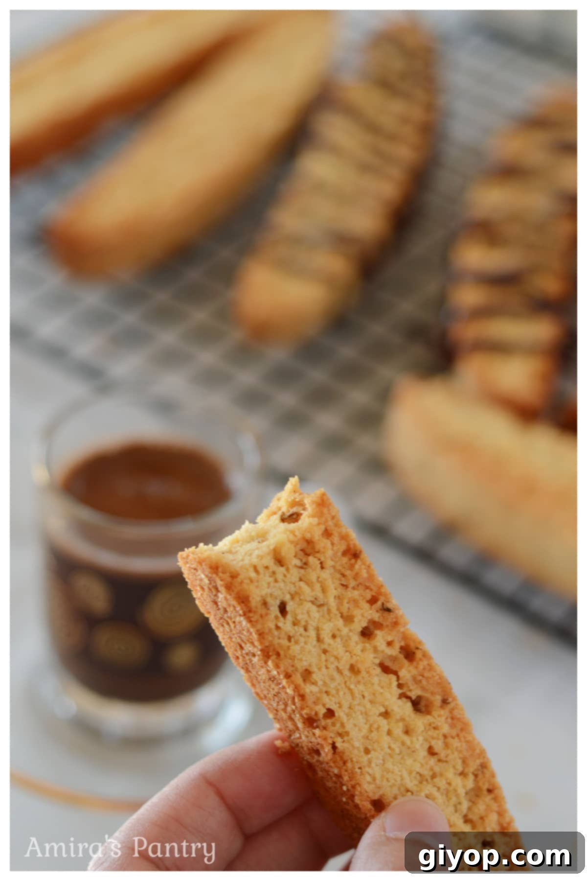 A hand holds a delicate biscotti, revealing its perfectly crisp texture and a satisfying bite taken from it.