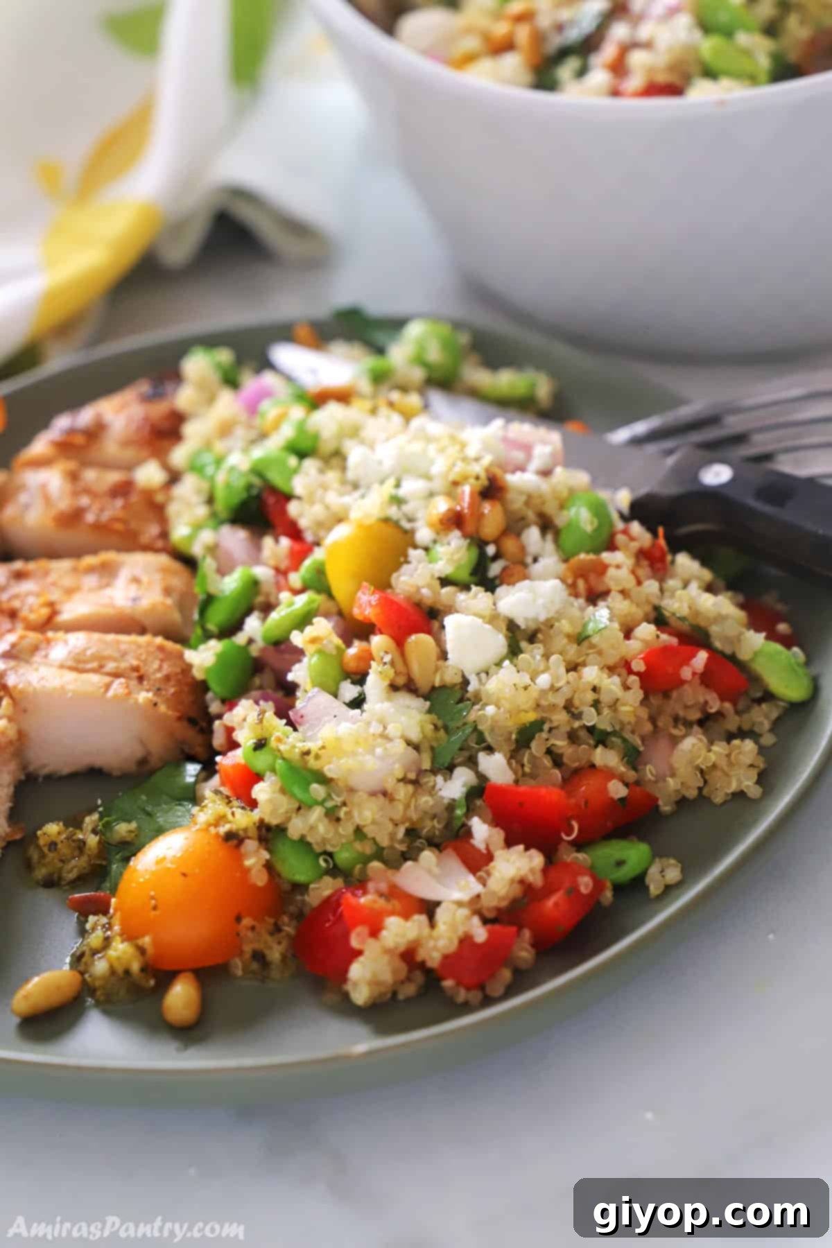 Vibrant Edamame Quinoa Medley 3 A green dinner plate with grilled chicken and edamame salad