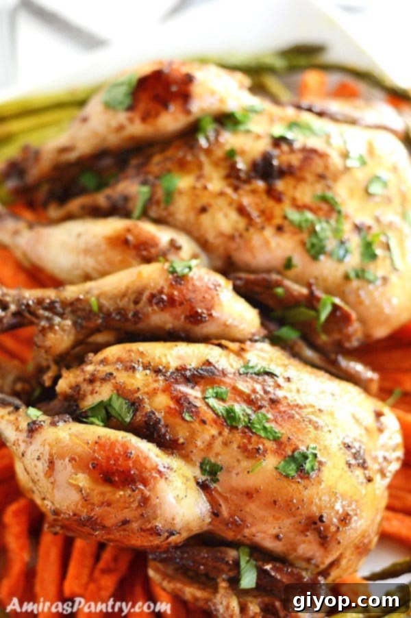 A close up of roasted Cornish hen served on a bed of carrots on a white plate, garnished with fresh herbs.