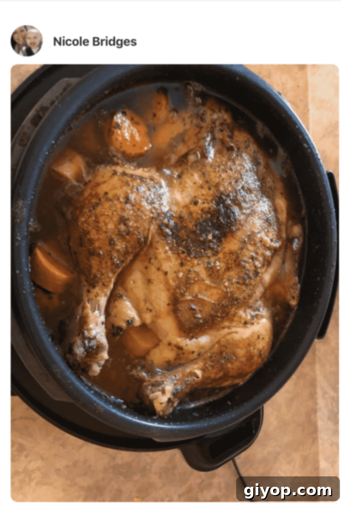 Another fan-shared image of Cornish hens cooking gently in a slow cooker, illustrating the ease of the process.