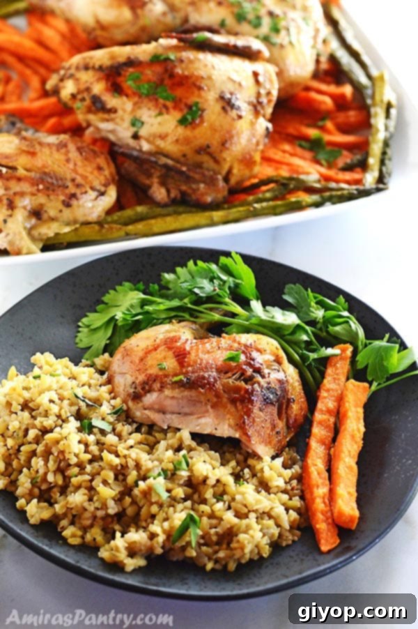 A beautifully plated meal featuring slow-cooked Cornish hen, fluffy rice, and steamed green vegetables, ready to be enjoyed.