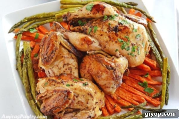 Another view of a cooked Cornish hen, served with vibrant roasted vegetables, showcasing the golden-brown skin and tender meat.