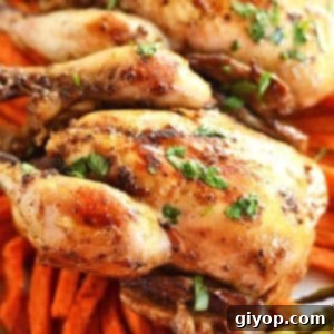 A close up of tender slow-cooked Cornish hen on carrots on a plate, ready to be served.