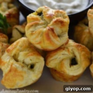 A plate of food, with Spanakopita and dip.