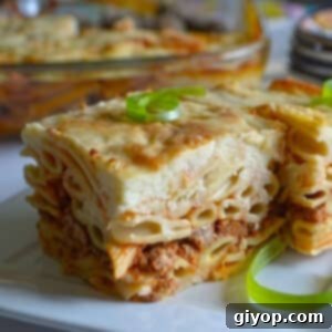 A close-up image on a piece of macarona bechamel to show layers.