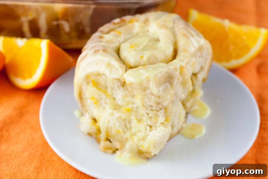 Zesty Orange Swirls, Ready in 60 Minutes 1 featured 15072