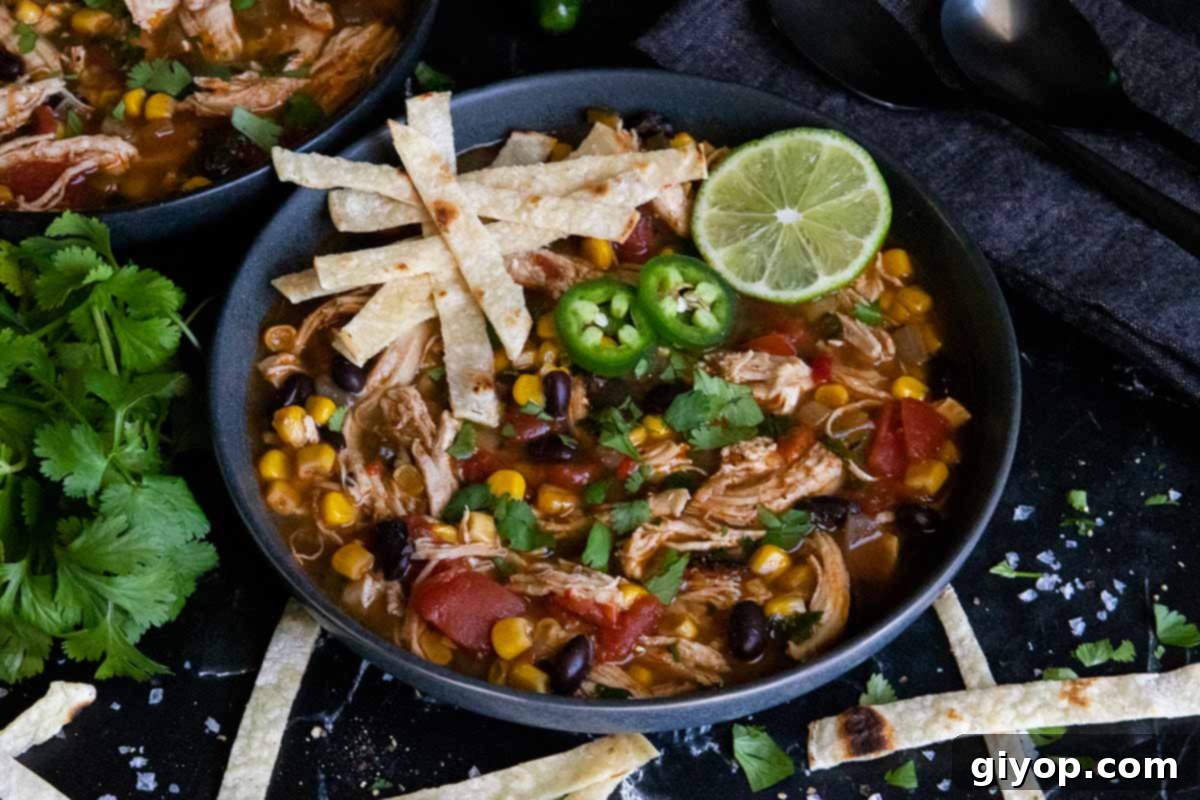 Comforting Stovetop Chicken Tortilla Soup 1 featured 34304