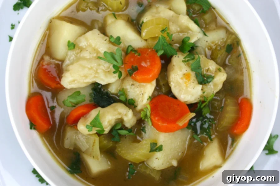 Veggie Dumpling Soup 1 featured 4976