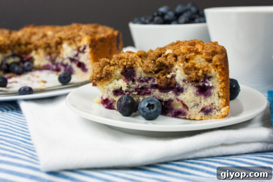 Classic Blueberry Streusel Coffee Cake 1 featured 5883