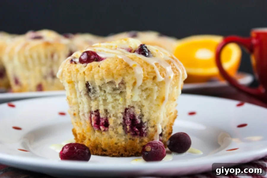 Cranberry Orange Muffins - Simply the best. A sweet buttery muffin filled with tart, juicy cranberries, orange zest, and an orange glaze.