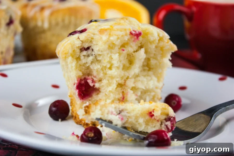 Cranberry orange muffins cut open on a white plate with red dots.
