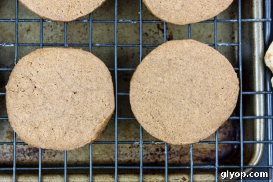 Freshly baked crispy gingersnap cookies cooling on a wire rack, steam gently rising.