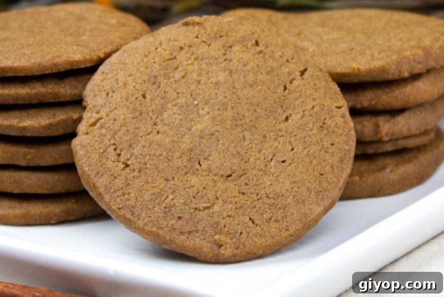 A close-up view of perfectly baked crispy gingersnap cookies, highlighting their cracked surface and inviting texture.