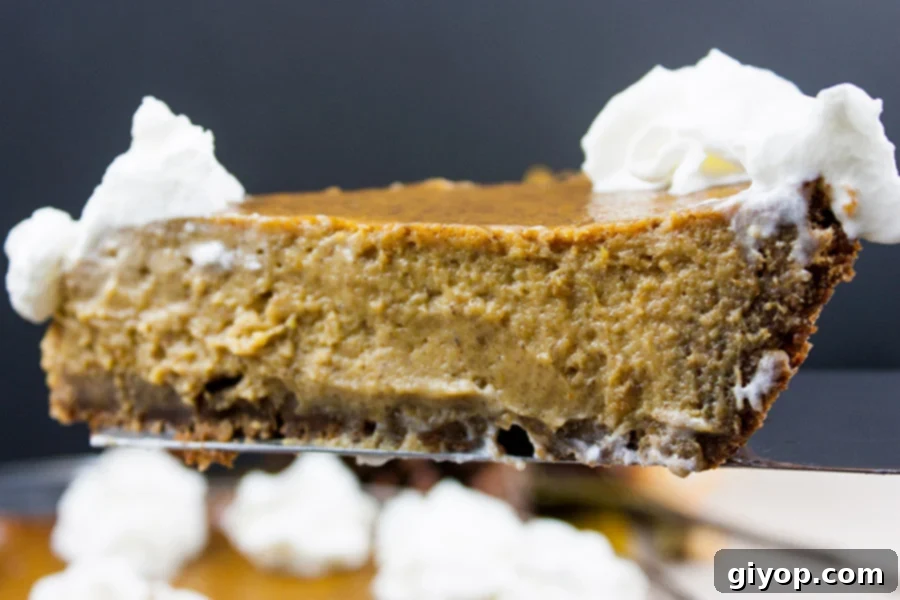 A close-up shot of a perfect slice of Gingersnap Crust Pumpkin Pie topped with a generous swirl of whipped cream.
