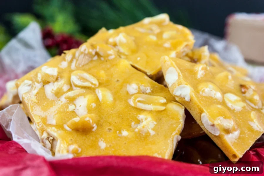 Freshly broken pieces of homemade peanut brittle, showcasing the crunchy texture and abundance of peanuts, arranged in a festive red-lined tin.