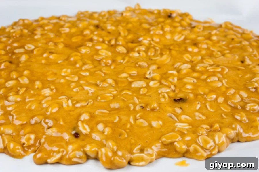 Freshly poured and spread Old-Fashioned Peanut Brittle cooling on parchment paper, showing its thin, glassy texture before breaking.
